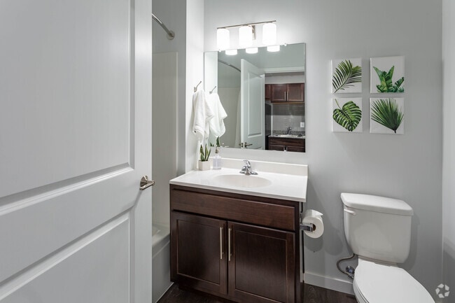 Studio, 1 BA - The Council - 436 SF