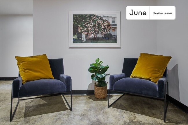 Photo - Beautiful Private ROOM in Bed-Stuy Unit 2