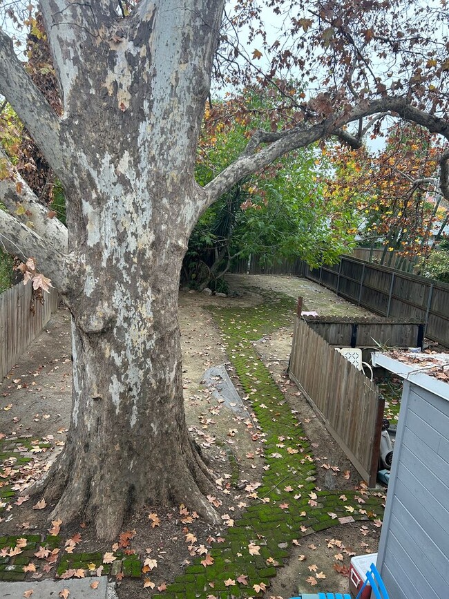 Photo - 4TH (426) Unidad 4TH (426)  3