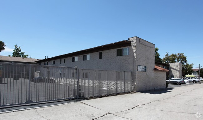 Lincoln Palms - Lincoln Palms