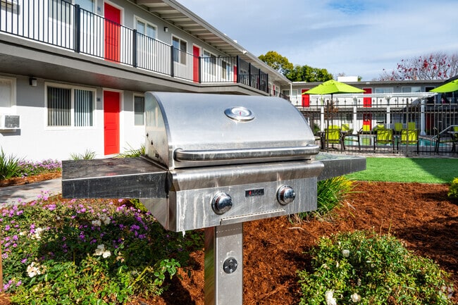 BBQ