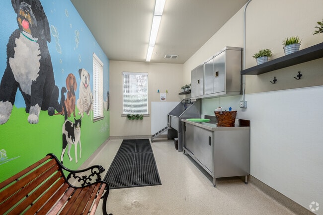 Pet Spa