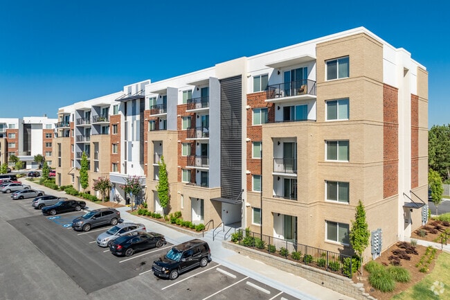 Photo - Resia Tributary