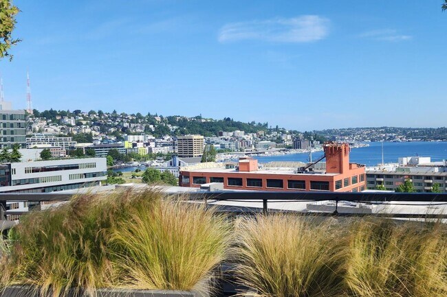 Mercerview Apartments