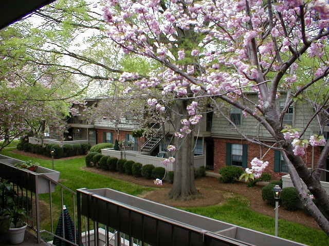 Building Photo - 2 BEDROOM CONDO IN SALEM SQUARE!