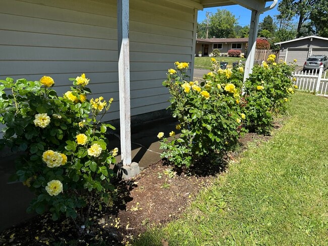 Photo - 13067 SW 63rd Pl