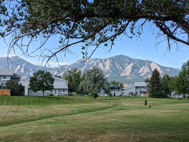 Open Space - 1120 Monroe Dr