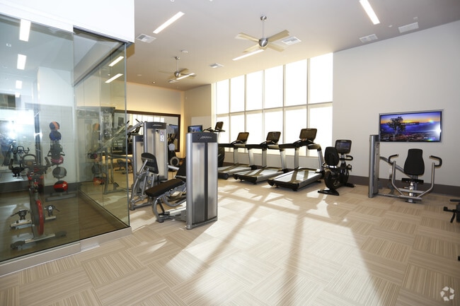 Gimnasio