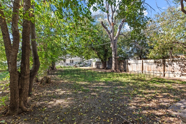 Photo - 251 Millwood N