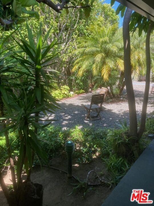 Photo - 1011 Pearl St