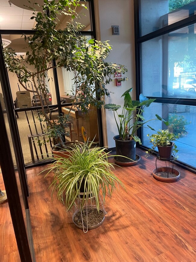 Plants by the residents