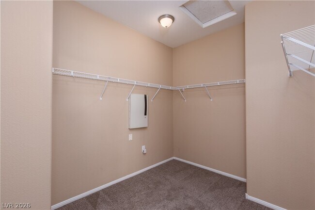 Photo - 8277 Brilliant Pompon