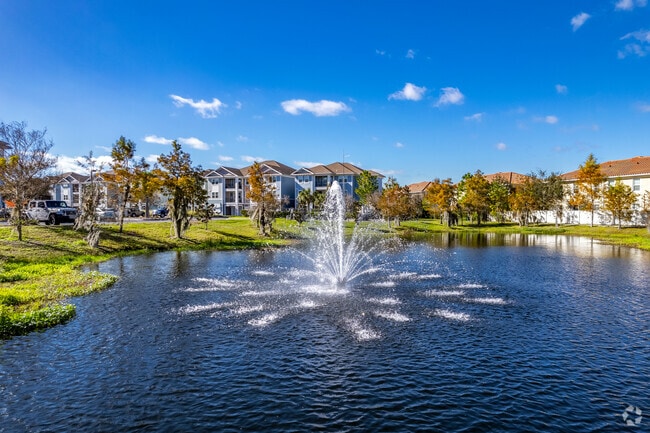 Pond