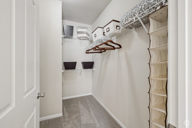 2BR, 2BA - 1,246SF - Primary Walk-In Closet