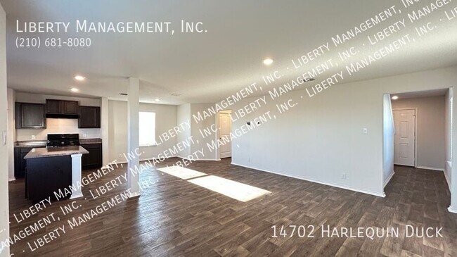 Photo - 14702 Harlequin Duck