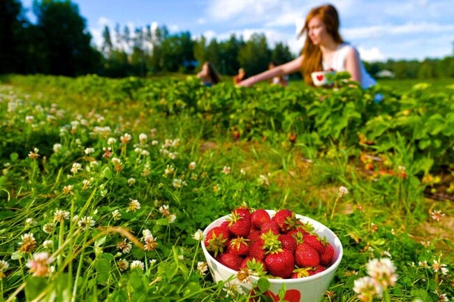 Photo - 1511 Tristar Dr