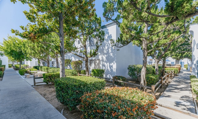 The Arches Apartments