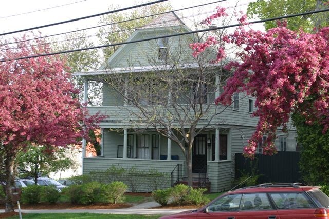 Photo - 334 College St Unidad 332