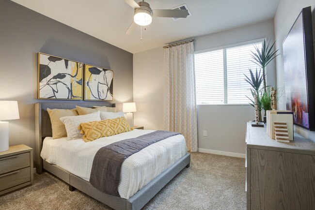 Lucent Scottsdale