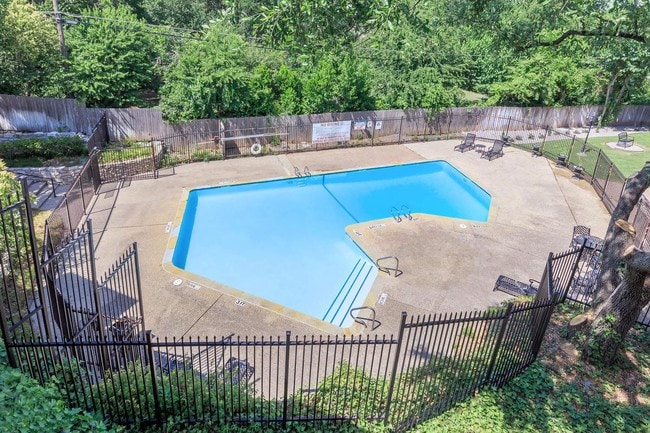 Piscina cristalina rodeada de exuberante vegetación y espacios tranquilos. - Renaissance Gardens Apartments