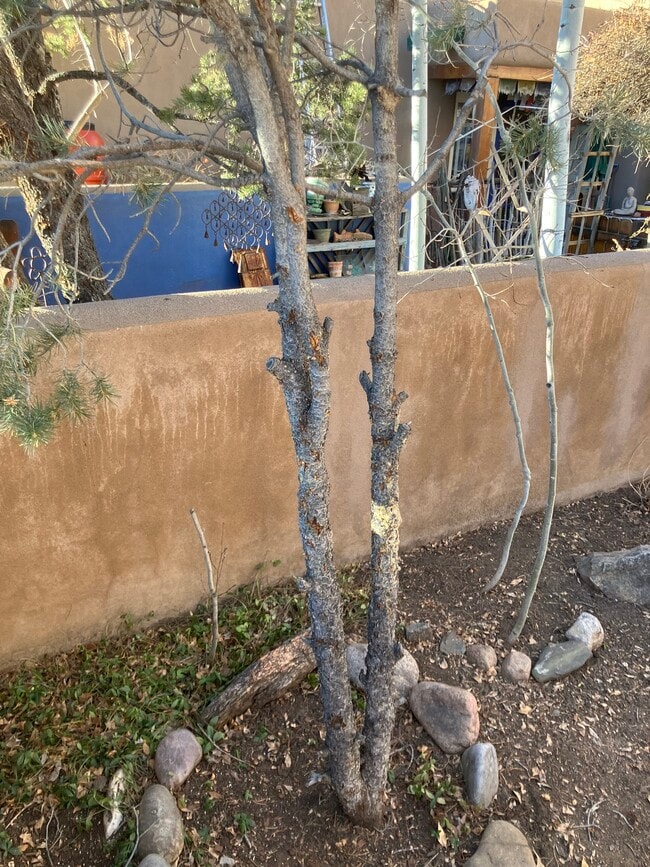 Photo - 3228 1/2 La Avenida de San Marcos