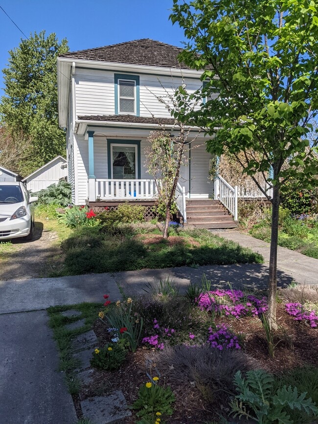 Curb View 1