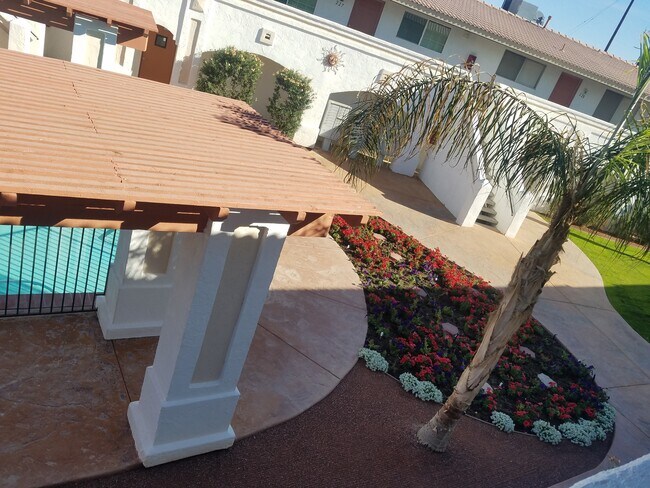 Desert Oasis