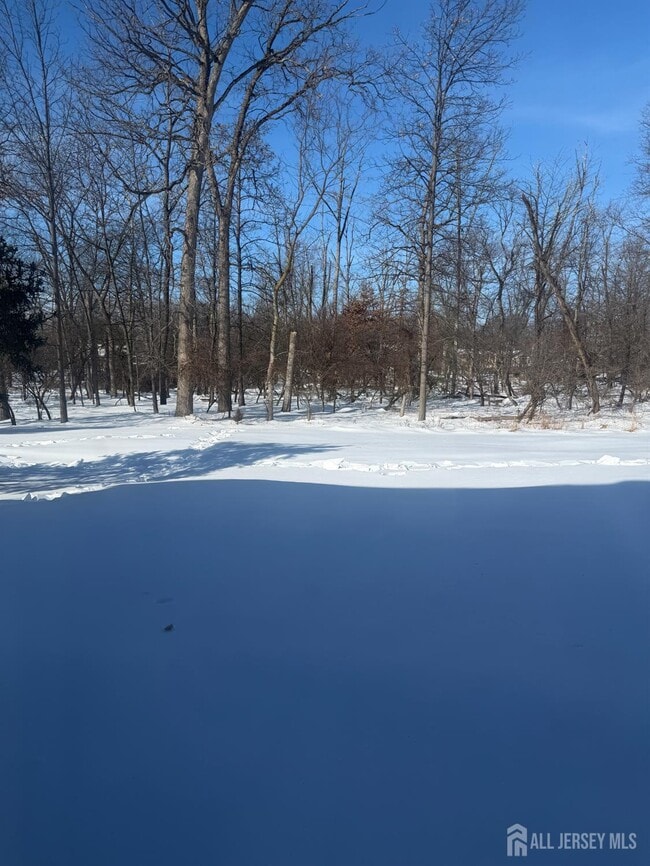 Photo - 176 Nebula Rd