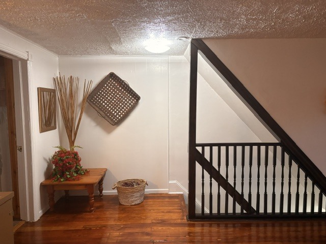Top of steps entering apt. - 895 Old Wilmington Rd Unit 2nd floor
