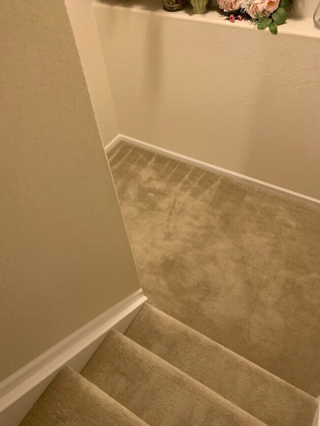 12642 Glencoe St House House Rental in Thornton, CO