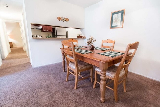 Photo - Forest Creek