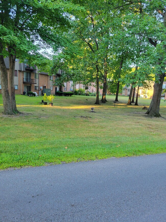 Court yard