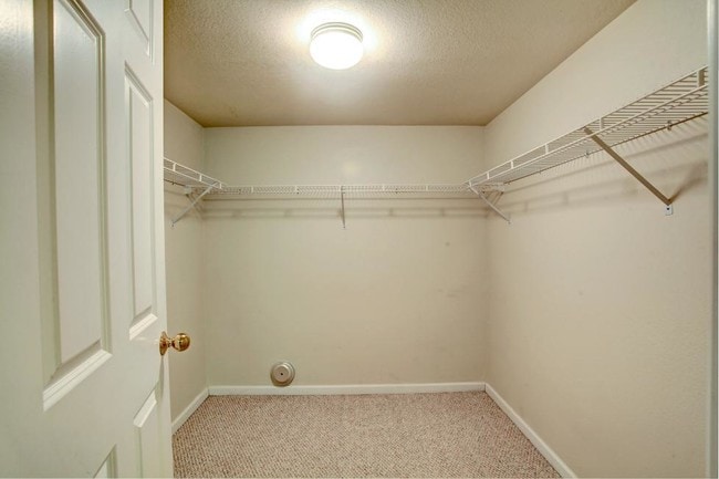 Lower bedroom closet; walk-out unit only!