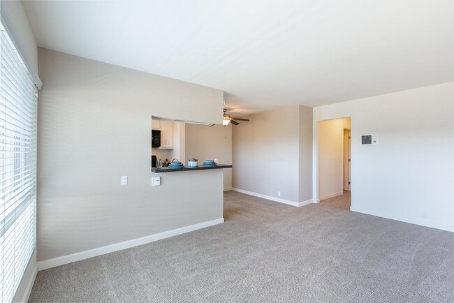 Elan Pacific Lofts