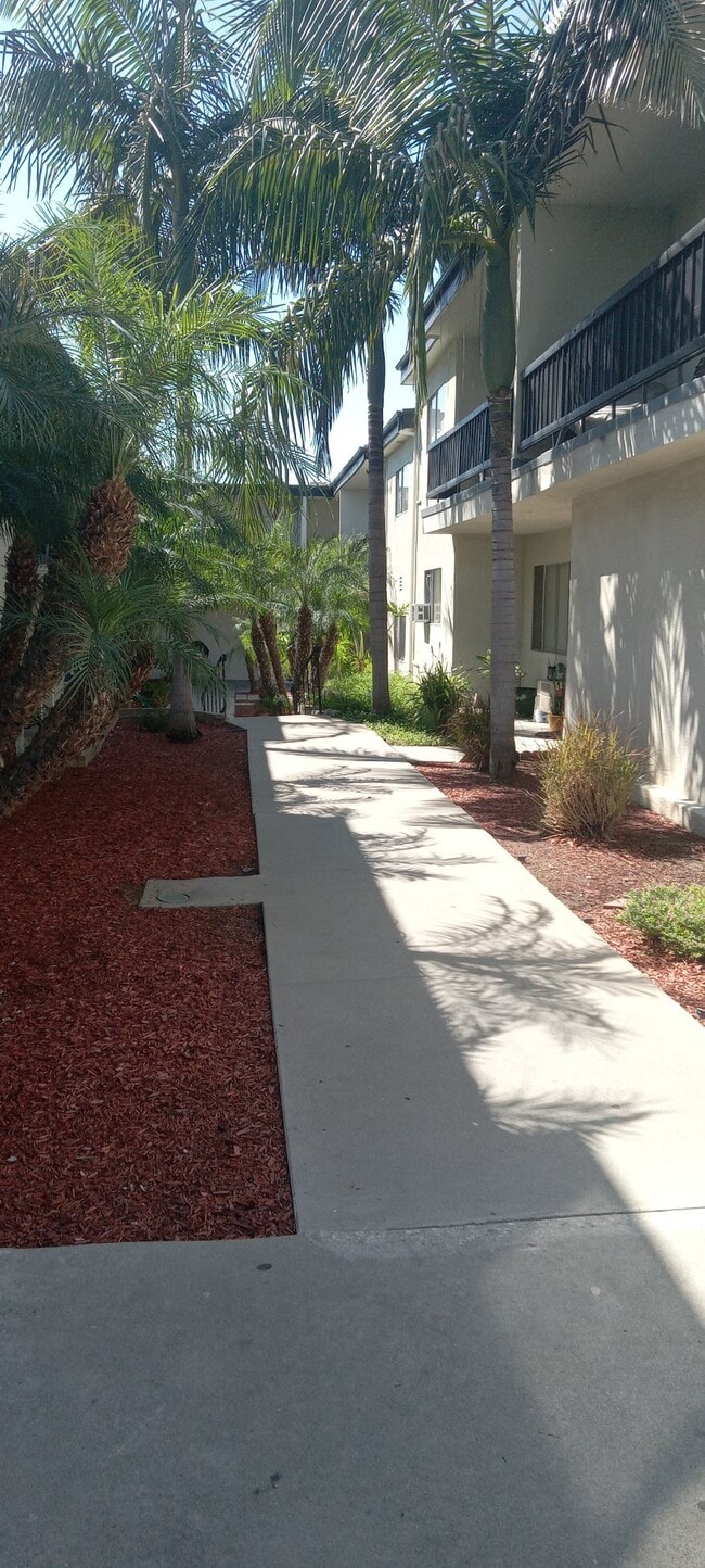 Building Photo - 10726 Orange Grove