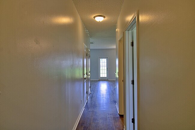 Photo - 29 Quarter Horse Run