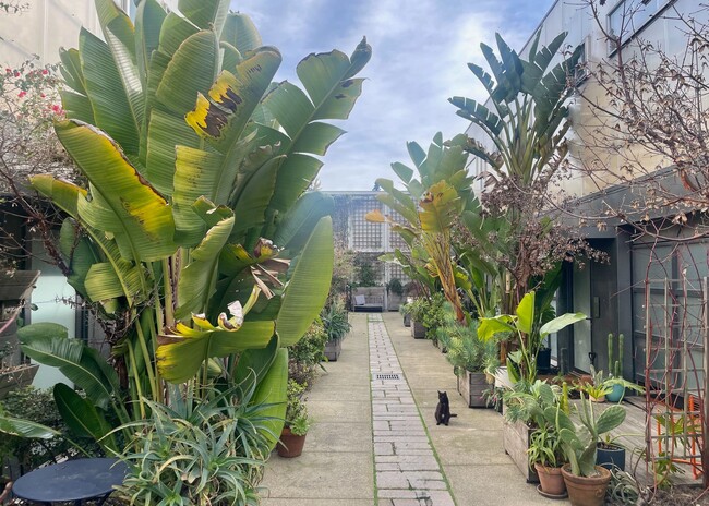 Photo - Bright Live-Work Studio & Tall Ceilings on Adeline in Oakland Unidad 6056