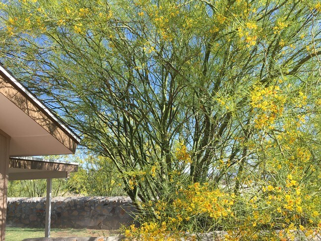 Photo - 866 Nita Fay Dr