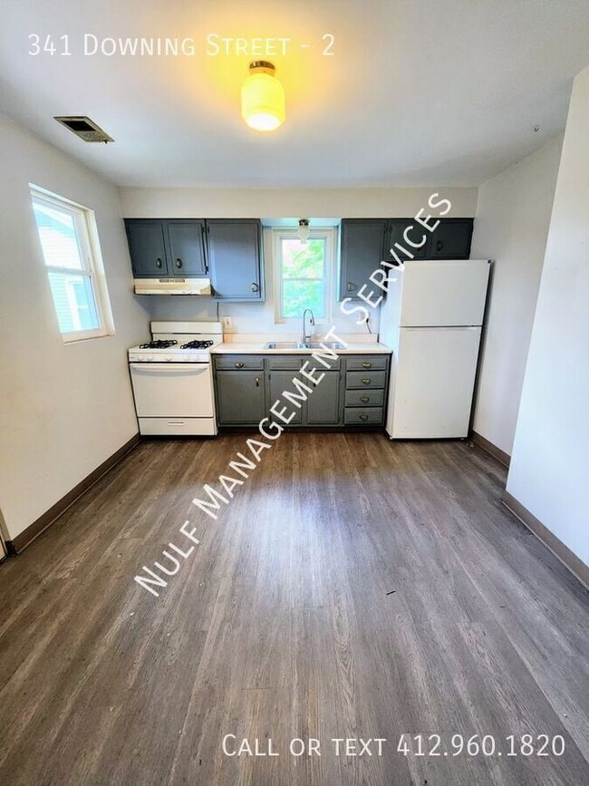 Building Photo - 341 Downing St Unit 2