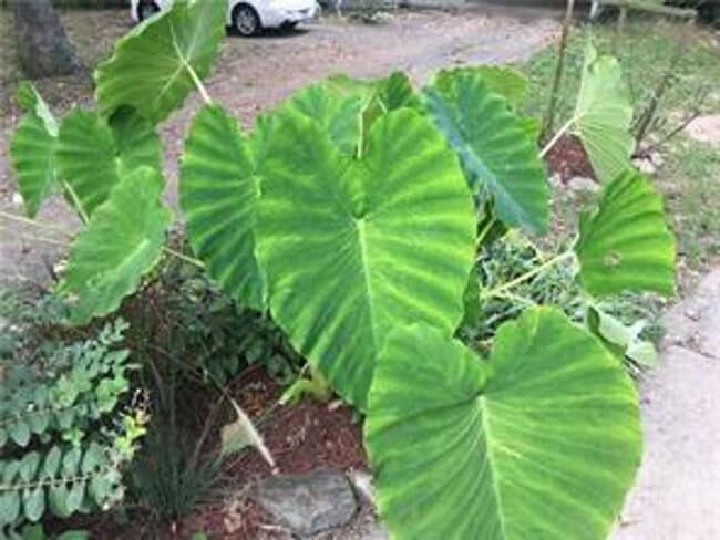 Photo - 48 Grisham Dr