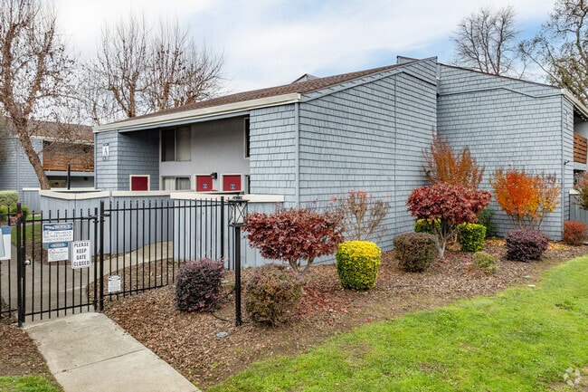 Alternate - Stony Brook