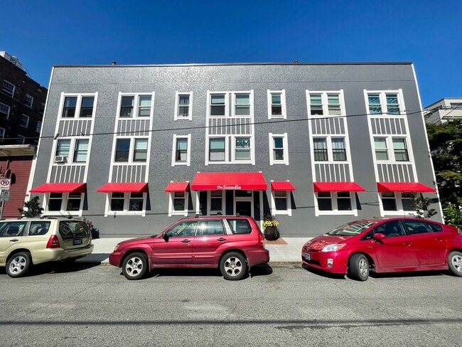 Photo - Scandia Mignon