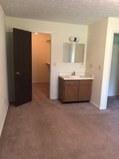 Master Vanity and Closet