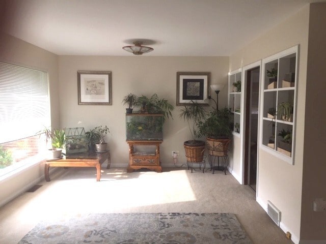 Photo - Classic Northgate Rambler