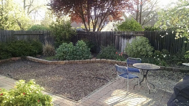 Photo - Spacious 3BD/1Bath Home in Mace Ranch