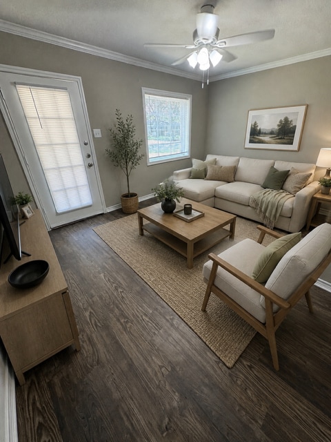 Living Room - 10106 Galway Dr