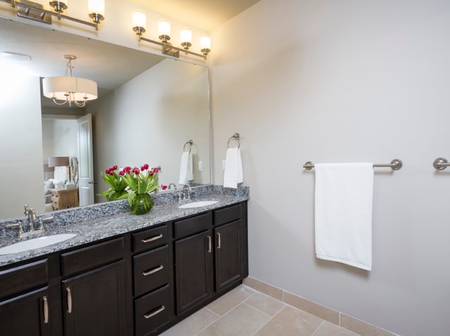 Bathroom with Granite Countertop