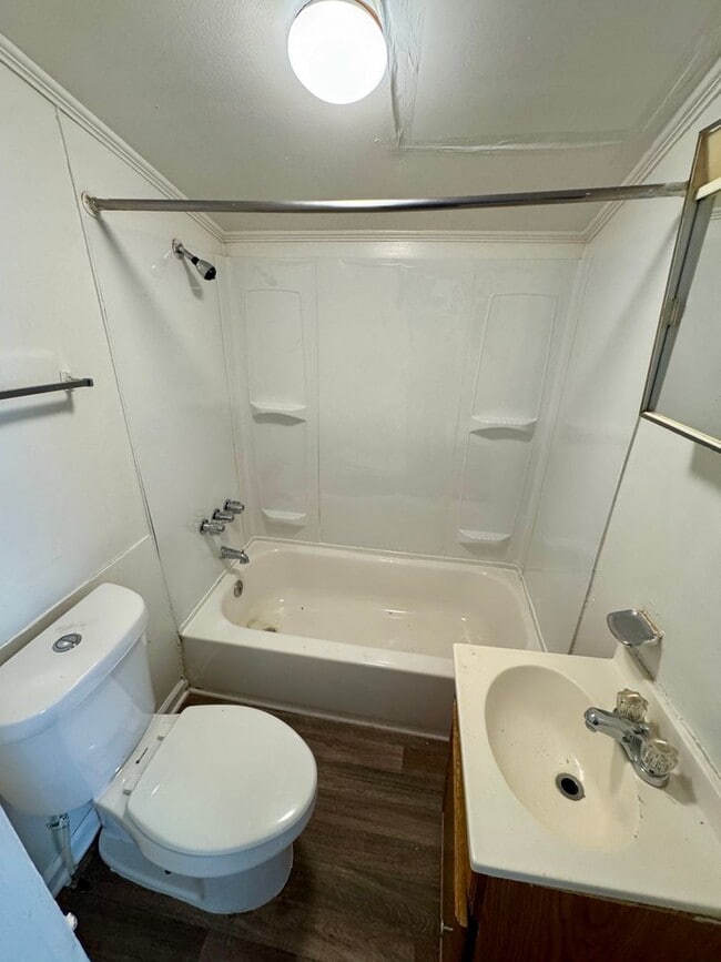 Photo - Ready to show!