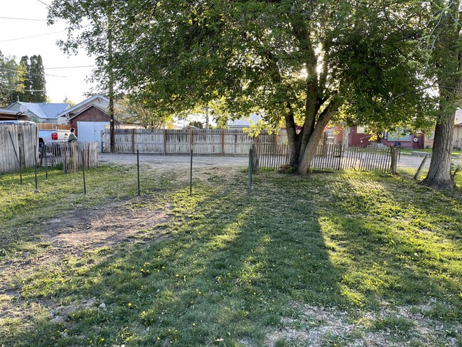 Back yard 2