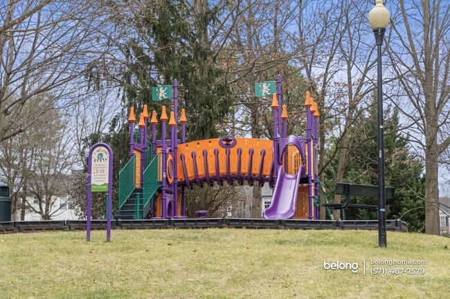 Photo - 47339 Blackwater Falls Terrace